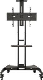 NB Stojak podłogowy AVA1500-60-1P 32'' - 65'' [outlet]