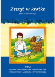 Streszczenia - Zeszyt w kratkę (58536)