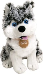 All Four Paws Paws Plusz Pies Husky Snowstar 25Cm