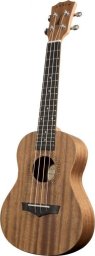 Arrow Arrow MH10 Mahogany Concert Ukulele w/bag - Ukulele koncertowe z pokrowcem