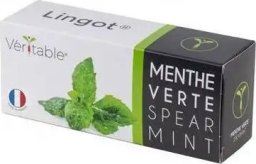 Veritable Véritable Lingot Mięta klasztorna