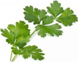 Veritable Véritable Lingot Italská petržel - BIO