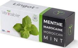 Veritable Véritable Lingot Marokańska mięta - BIO*
