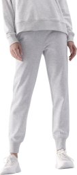 Spodnie damskie 4F F0946 szare 4FWMM00TTROF0946 27M XL