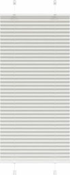 vidaXL Roleta plisowana jasnoszara 60x100 cm Szerokość tkaniny 59,4cm