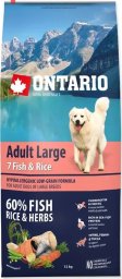 Ontario Adult Large Fish & Rice 12kg