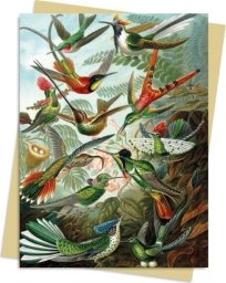 Karnet B6 Kolibry Ernst Haeckel