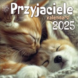 Kalendarz 2025 33x33cm ścienny Przyjaciele