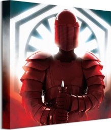GF Gwiezdne Wojny Star Wars: The Last Jedi (Elite Guard Defend) - obraz na płótnie 40x40 cm