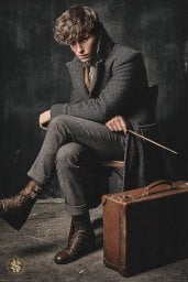 Media Rodzina Fantastyczne Zwierzęta Zbrodnie Grindelwalda Newt Scamander - plakat 61x91,5 cm