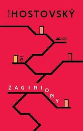  Zaginiony - 224531