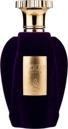 EMIR EMIR Voux Violette EDP spray 100ml