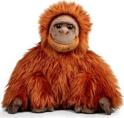 Pluszowy orangutan