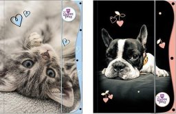 Teczka z gumką A4 The Sweet Pets EDUKAMP