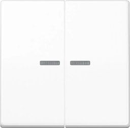 Jung BTAS17102WW Jung Home button 2-way Alpine white