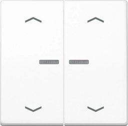 Jung BTAS17102PWW Jung Home button 2-way with arrow symbols Alpine white