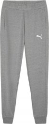 PUMA teamGOAL Casuals Pants gray white M