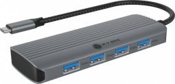 Stacja/replikator Icy Box 6w1 USB-C (IB-DK4022a-CPD)