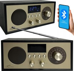 Radio przenośne Brda FM/BT/USB akum.2200mAh,10W,ładowanie indukcyjne telefonu,czarno-złote