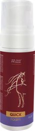 Over Horse Over Horse QUICK Foam 250 ml