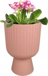 Formplastic Doniczka jasnoróżowa 20,5x14cm ECO uniwersalna plastikowa gazon Keli