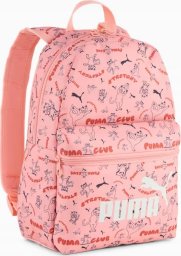Pleack Puma Phase 091324-02
