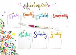 Pentel Pisak pędzelkowy Pentel Brush Sign Pen Twin SESW30