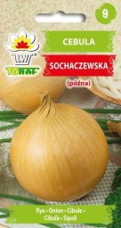 Toraf Nasiona warzyw | Cebula Sochaczewska | Opakowanie 5g