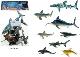 Zwierzęta morskie G206315 71297