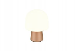 Table lamp TRIO STEEN, 1 x E14, O20 x 27 cm, white/coffee color.