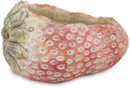 Osłonka na Doniczkę truskawka Betonowa do Pokoju 12,5cm x 21cm x 15,5cm