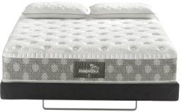 Magniflex Materac Magniflex Dolce Vita Dual 12 Firm 100x200
