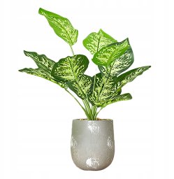 ITIMPORT SZTUCZNA Roślina W DONICZCE REALISTYCZNA 42cm Dieffenbachia do DOMU BIURA