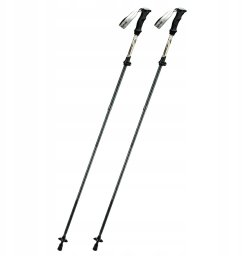 Kijki trekkingowe Qunature nordic walking aluminiowe 110 - 130 cm - brązowe