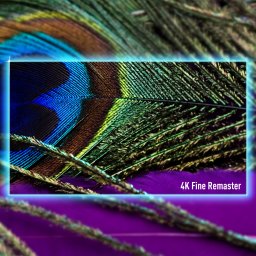 TV SetPANASONIC55"4K/Smart3840x2160Wireless LANBluetoothGoogle TVTV-55W90AEG