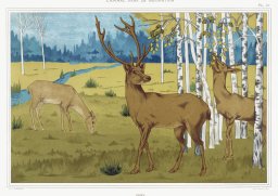 Plakat 29,7x21cm Jelenie, Verneuil Vintage do Salonu