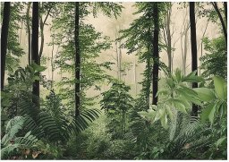 Fototapeta Las Drzewa Natura Sypialnia Salon Tapeta Flizelina 400X280