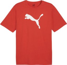 Koszulka męska Puma Team Rise Logo Jersey Cotton czerwona 658705 01 M