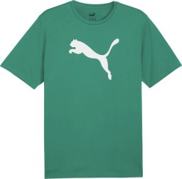 Puma Koszulka męska Puma Team Rise Logo Jersey Cotton zielona 658705 05 M