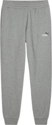 Spodnie męskie Puma Ess 2 Color No.1 Logo szare 684714 03 M