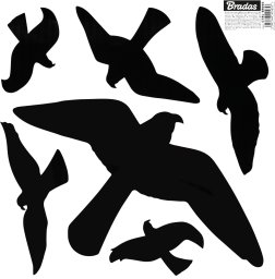 NAKLEJKI DO ODSTRASZANIA PTAKÓW DUŻE 6szt. /10 ARKUSZY SCARE