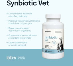 LAB-V Synbiotic Vet  Wsparcie zdrowia układu pokarmowego i mikroflory jelitowej dla psów i kotów 90 kapsułek