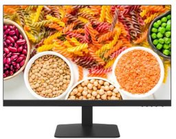 DS-D5024F2-1P2 Monitor Hikvision