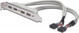  Digitus śledź do obudowy 4x USB (AK-300304-002-E)