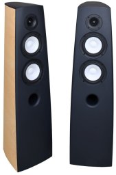 Acoustique Quality CANTO 5  - Audiofilska kolumna podłogowa, dwudrożna konstrukcja o mocy 230W / SB ACOUSTICS