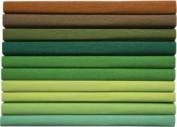  Happy Color Bibuła marszczona 25x200cm mix tonacja zielona 10 rolek (198552)