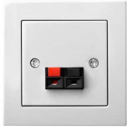 SPEAKER CONNECTION OUTLET ĮGL-001-01