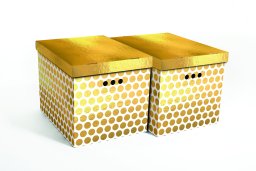 Domoletti FOLDABLE CARTON BOXSET A4 2PCS DOTS
