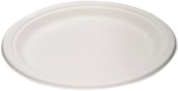 SUGARCANE FIBER PLATES 18CM 10 PCE