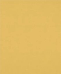 PAPIER EXPERT EXC470,120,230X280, 50X